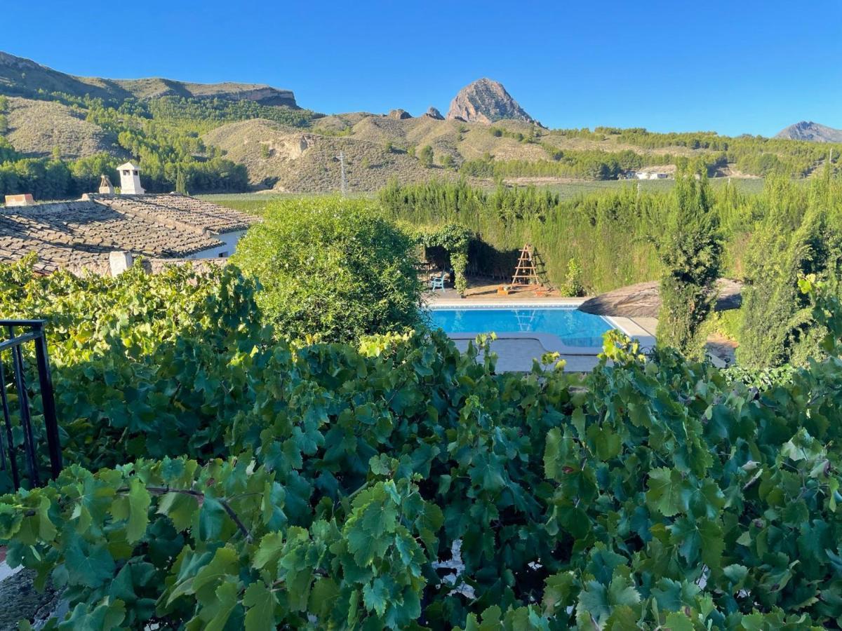 Casas Rurales El Cabezo De La Torre Villa Cieza Esterno foto